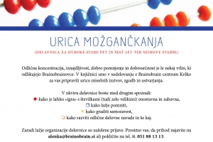 Brainobrain