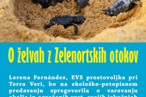 O želvah z Zelenortskih otokov
