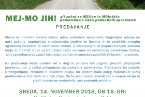 MEJ-MO JIH! - predavanje