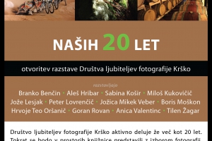 Naših 20 let, razstava