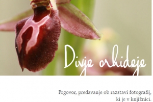 Divje orhideje - pogovor, predavanje