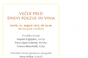 Šesti poletni večer v parku