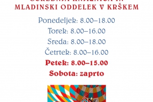 Knjižnica poleti