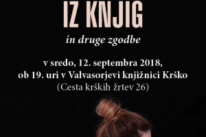 Postelja iz knjig, predstavitev knjige