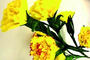 ROŽE IZ KREP PAPIRJA ustvarjalna delavnica